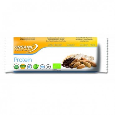 Organic Food Bar Raw Protein Bar 12 x 75g