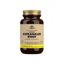 Solgar Astragalus Root 100 Capsules