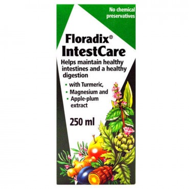 Floradix IntestCare 250ml